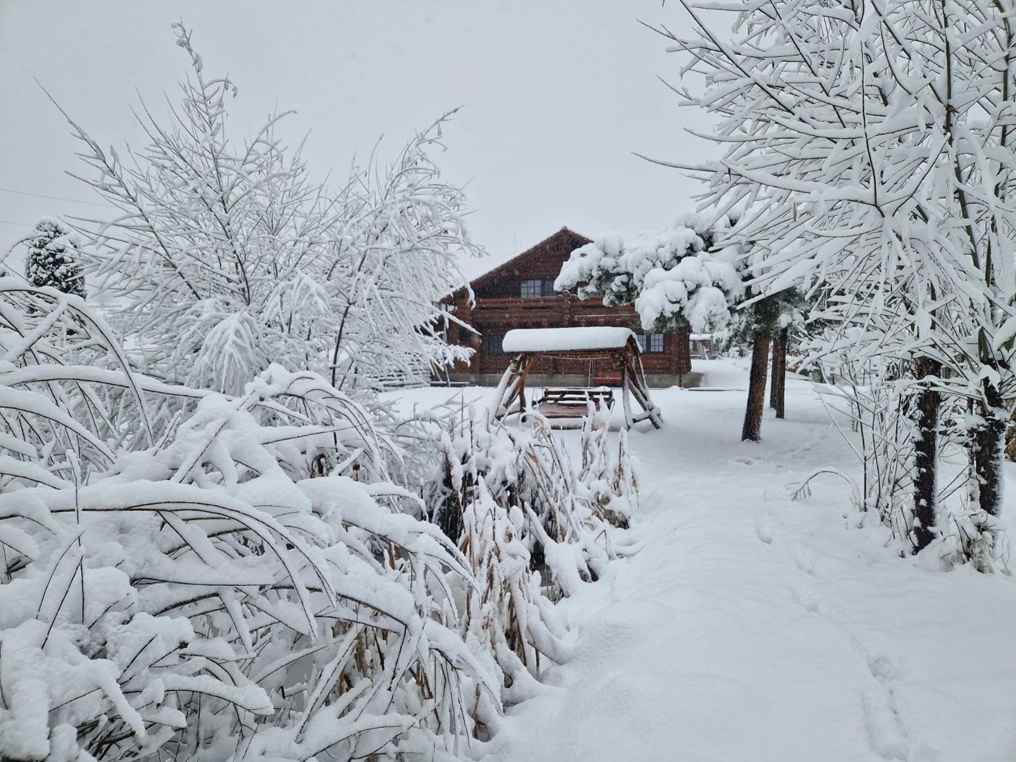 Casa De Munte Villa Vatra Dornei Dış mekan fotoğraf